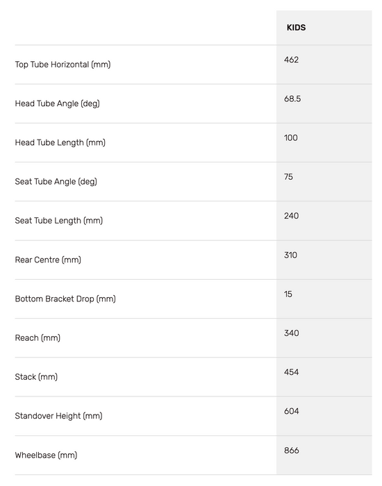 Rocky Mountain Flow Jr 20 - NEW